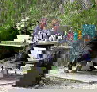 Cypress-pine campground - C Tourism