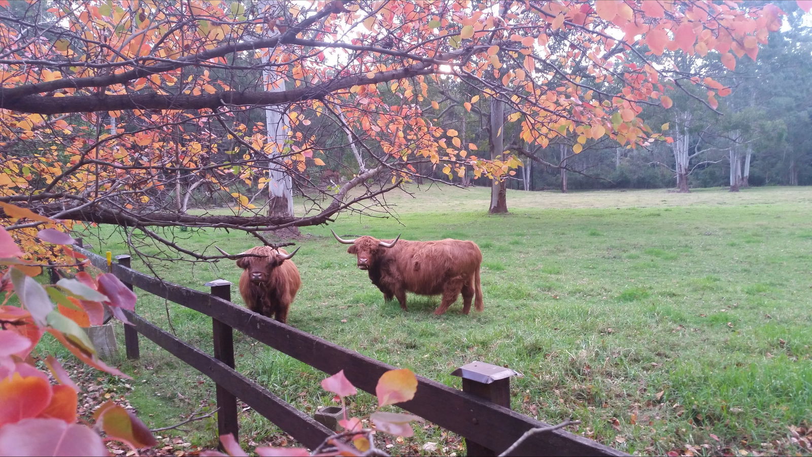 Annangrove NSW C Tourism