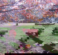 Dingley Dell - C Tourism