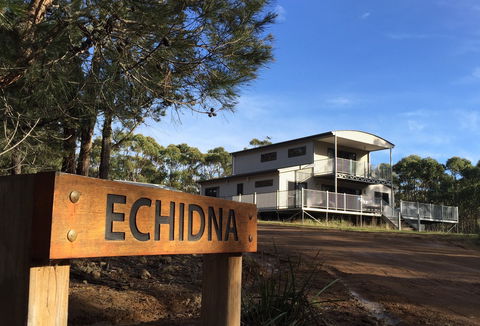 Echidna On Bruny - C Tourism 0