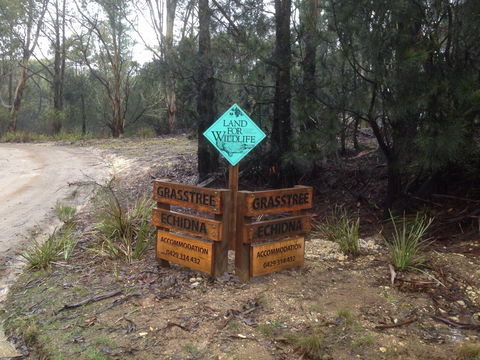 Echidna On Bruny - C Tourism 1