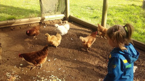 Emerald Park Holiday Farm - C Tourism 2