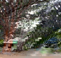 Fernleigh Accommodation - C Tourism