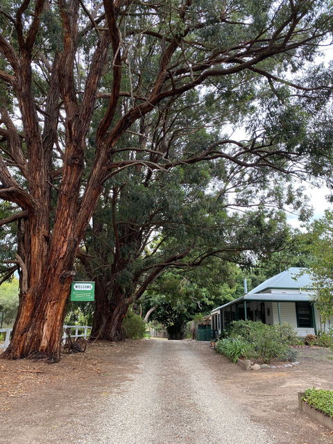 Fernleigh Accommodation - C Tourism 0