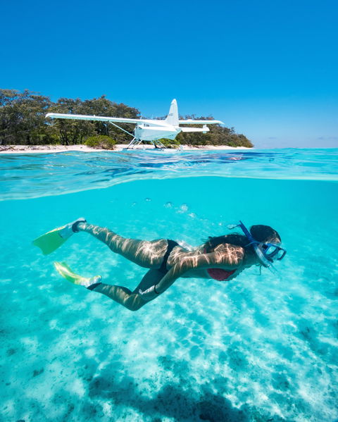 Heron Island Resort - C Tourism 1