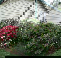Jenolan Caravan Park - C Tourism