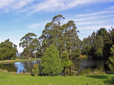 Newry Park Cottage - C Tourism 1