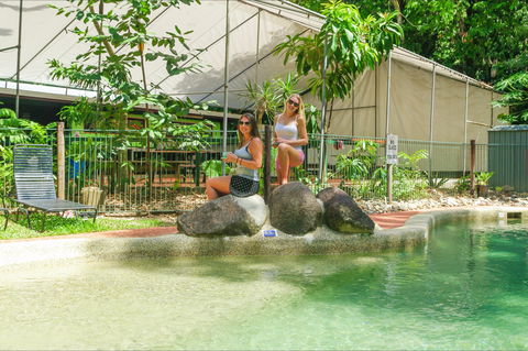 Safari Lodge - C Tourism 2