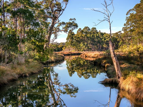 Saintys Creek Cottage - C Tourism 1