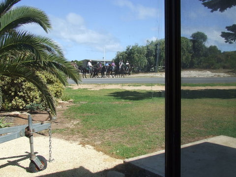 Seahorse Beach Shack - C Tourism 1