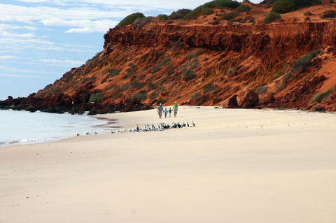 South Gregories Camp At Francois Peron National Park - C Tourism 0