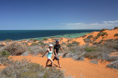 South Gregories Camp At Francois Peron National Park - C Tourism 2