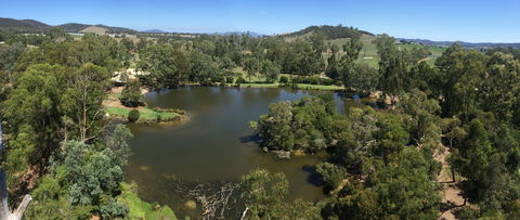 The Burrow At Wombat Bend Bed And Breakfast - C Tourism 1