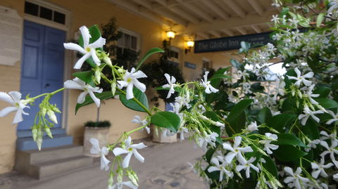 The Globe Inn - C Tourism 1