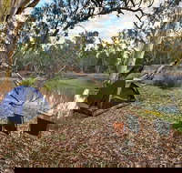 Woolpress Bend campground - C Tourism