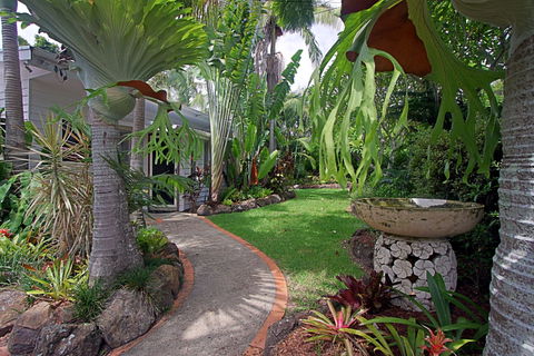 Allure - C Tourism 0