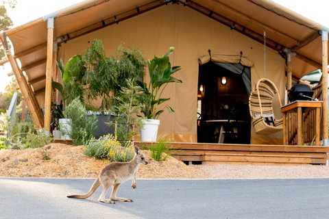 BIG4 Anglesea Holiday Park - C Tourism 2