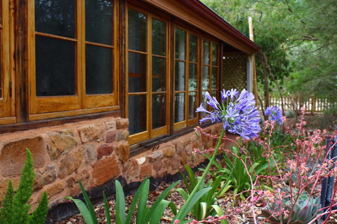 Bluey Blundstone's Accommodation - C Tourism 0