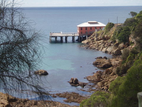 Clifftop At Tathra - C Tourism 2