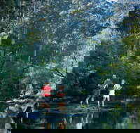 Drafty's Camp at Warren National Park