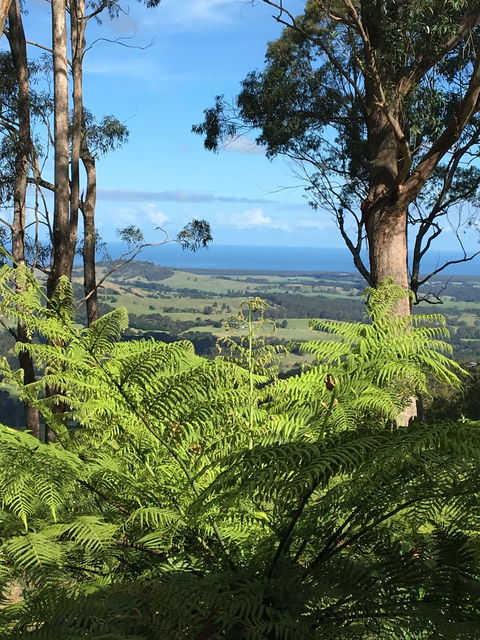 Escarpment - C Tourism 0