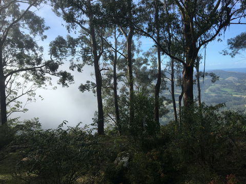 Escarpment - C Tourism 2