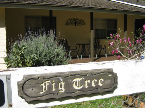 Figtree Cottage - C Tourism 0