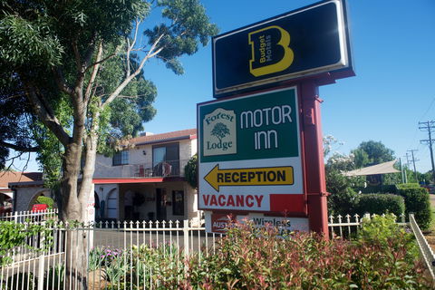 Forest Lodge Motor Inn And Restaurant - C Tourism 0