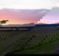 Just Inside The Gate - C Tourism