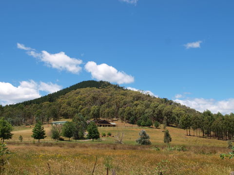 Mad On The Buckland - C Tourism 1