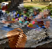 Naracoorte Caves Camping and Accomodation - C Tourism