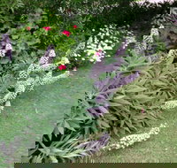 Padthaway Caravan Park - C Tourism