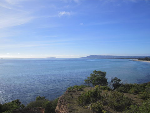 Plantation House At Whitecliffs - C Tourism 1