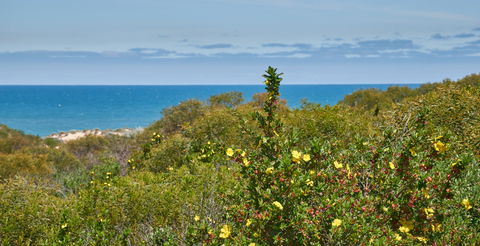 Preston Beach Front Apartment - C Tourism 0