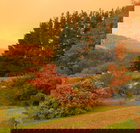 Red Rooster Host Farm - C Tourism