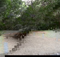 Springbrook National Park camping - C Tourism