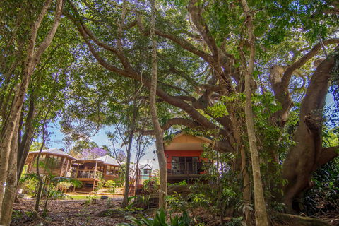 The African Village - By Clouds - C Tourism 0