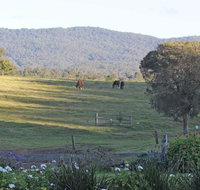 Wallaby Cottage - C Tourism