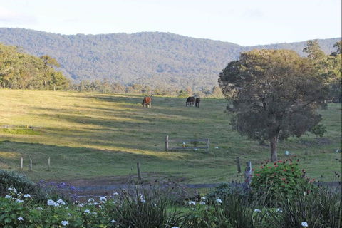 Wallaby Cottage - C Tourism 0