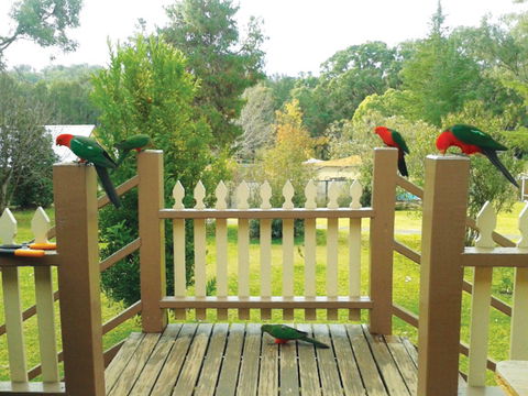 Warrumbungles Mountain Motel - C Tourism 0