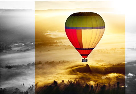 De Vine Escape - C Tourism 6