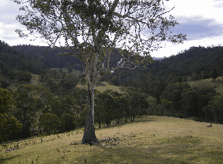 Yasuragi Cabins - C Tourism 1