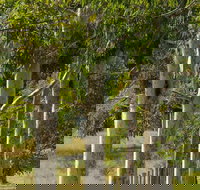 Stringybark Cottages - C Tourism