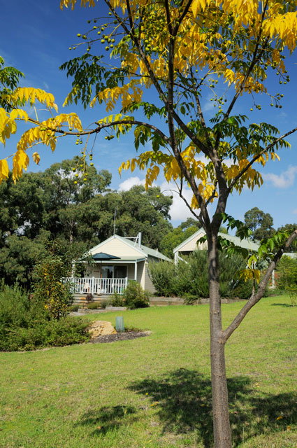 Stringybark Cottages - C Tourism 2
