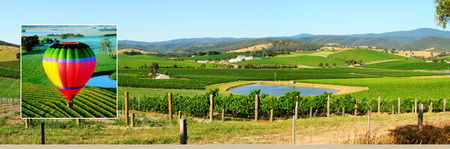 Goodwood B And B Cottage - C Tourism 3