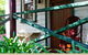 Goodwood B And B Cottage - thumb 5