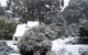 Tranquillity Cottage - thumb 0