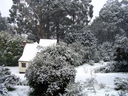 Tranquillity Cottage - C Tourism 0