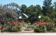 Lyre Bird Hill Winery And Guest House - thumb 0
