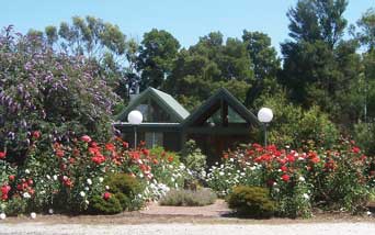 Lyre Bird Hill Winery And Guest House - C Tourism 0